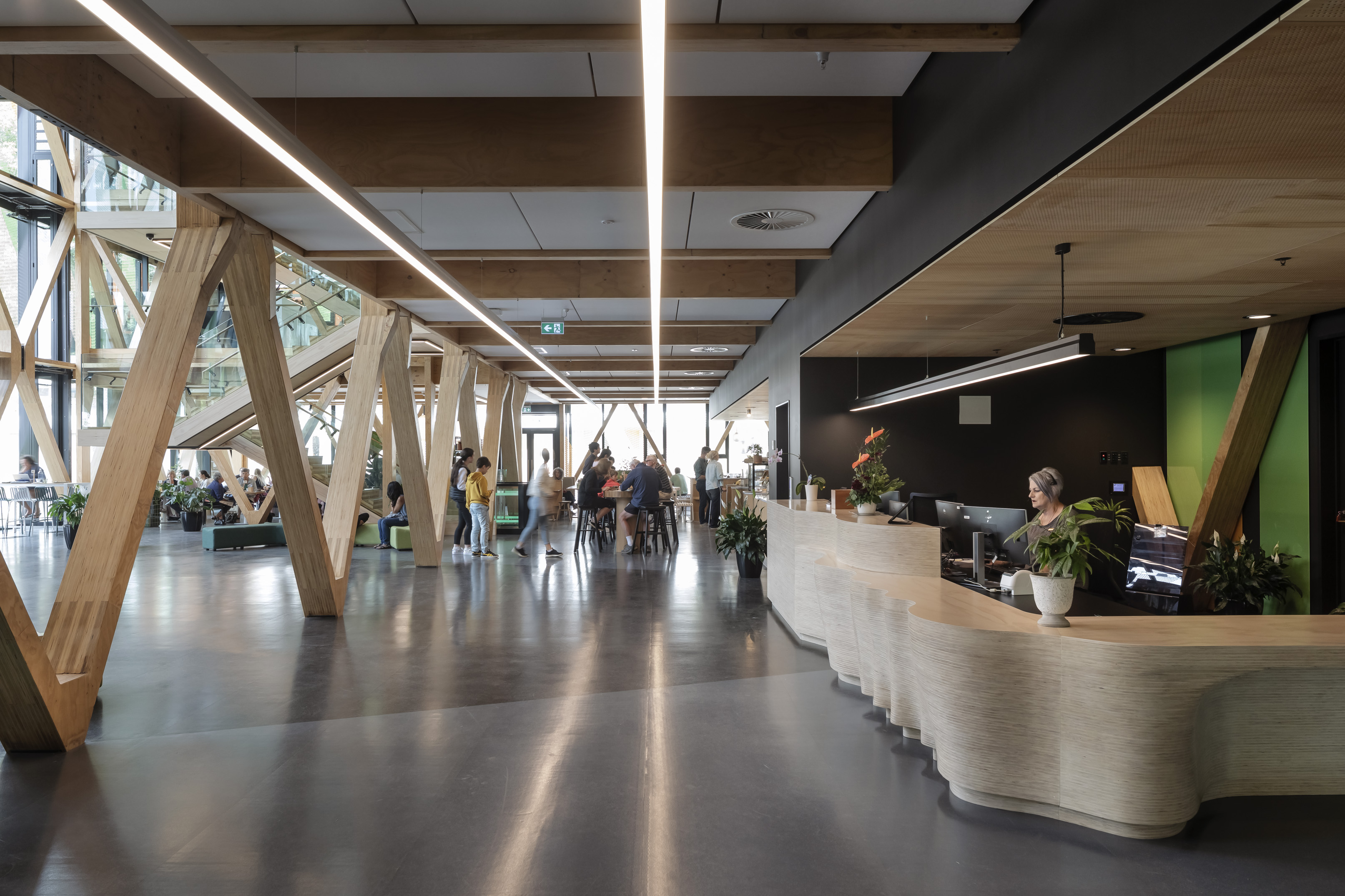 Te Whare Nui o Tuteata; SCION Timber Innovation Hub